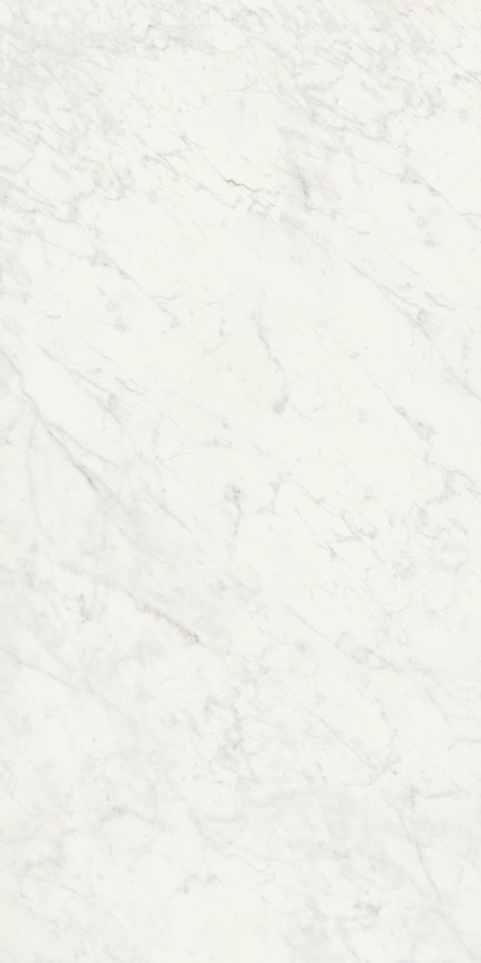 NS Stone 01