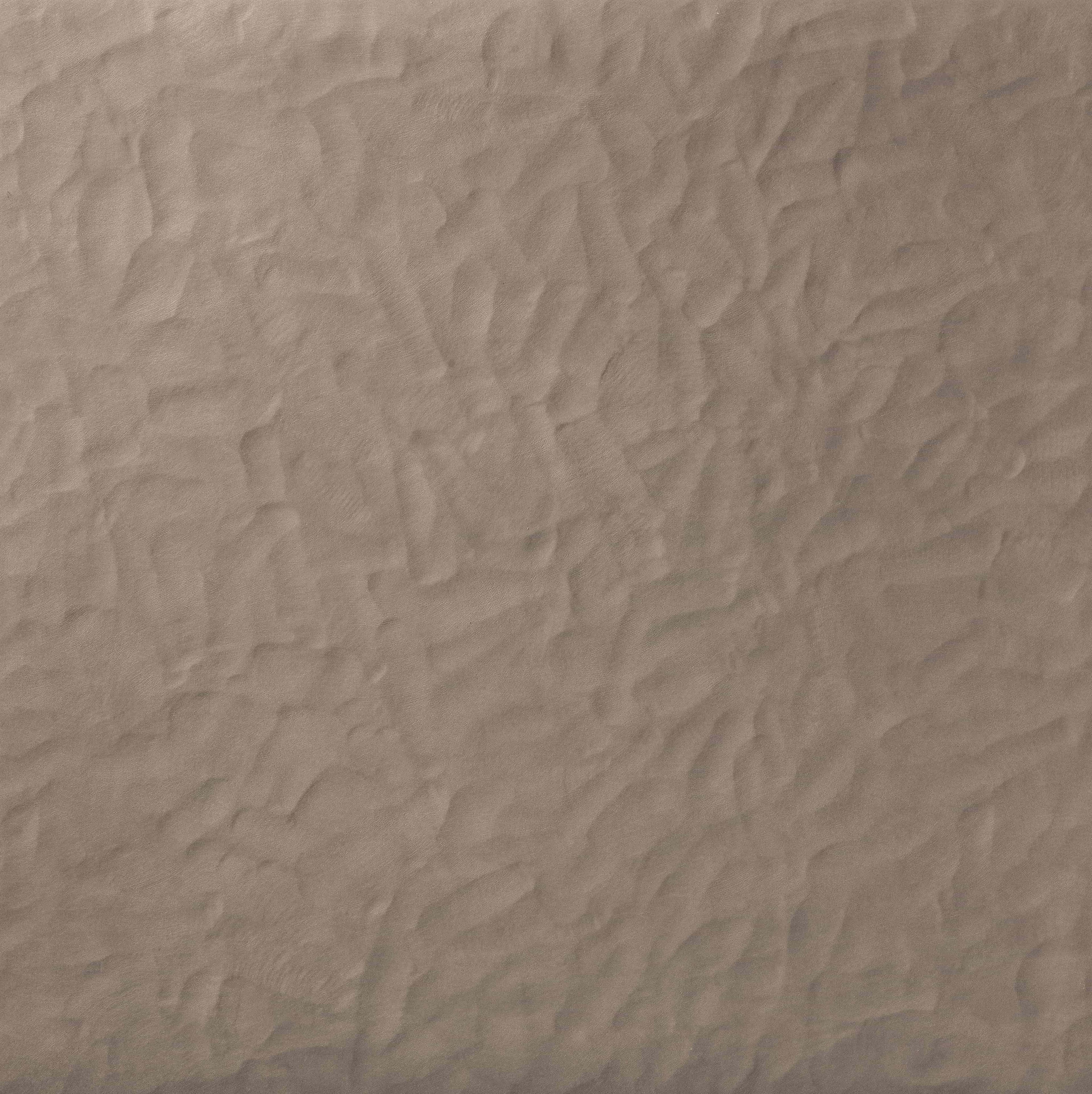 Foglio Corteccia