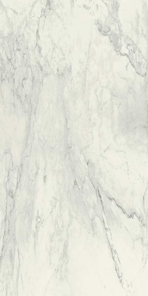 NS Calacatta Velvet