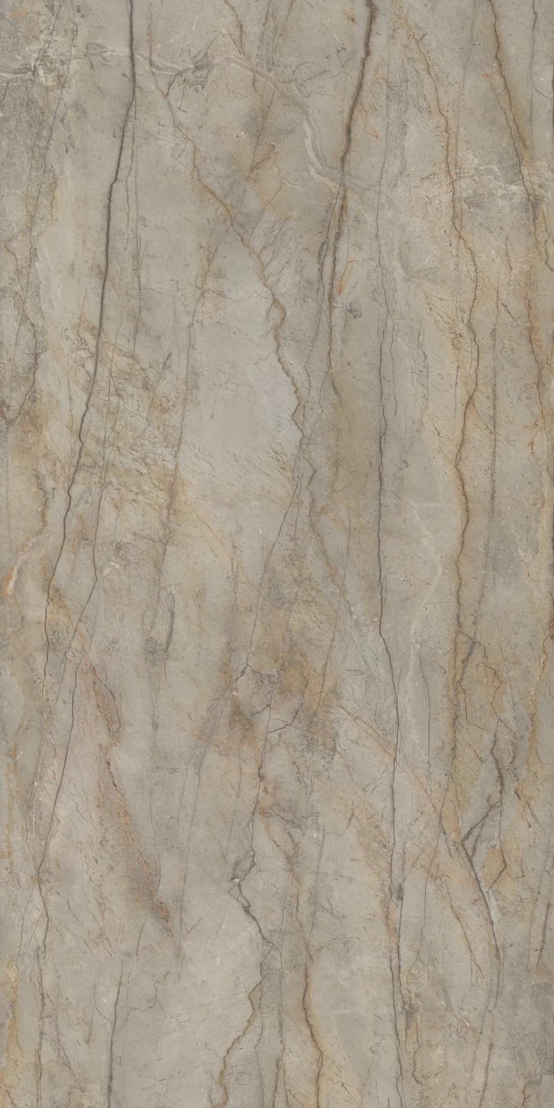 NS Silver Root
