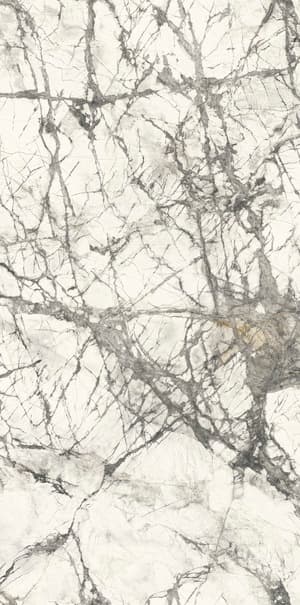 Space view 4