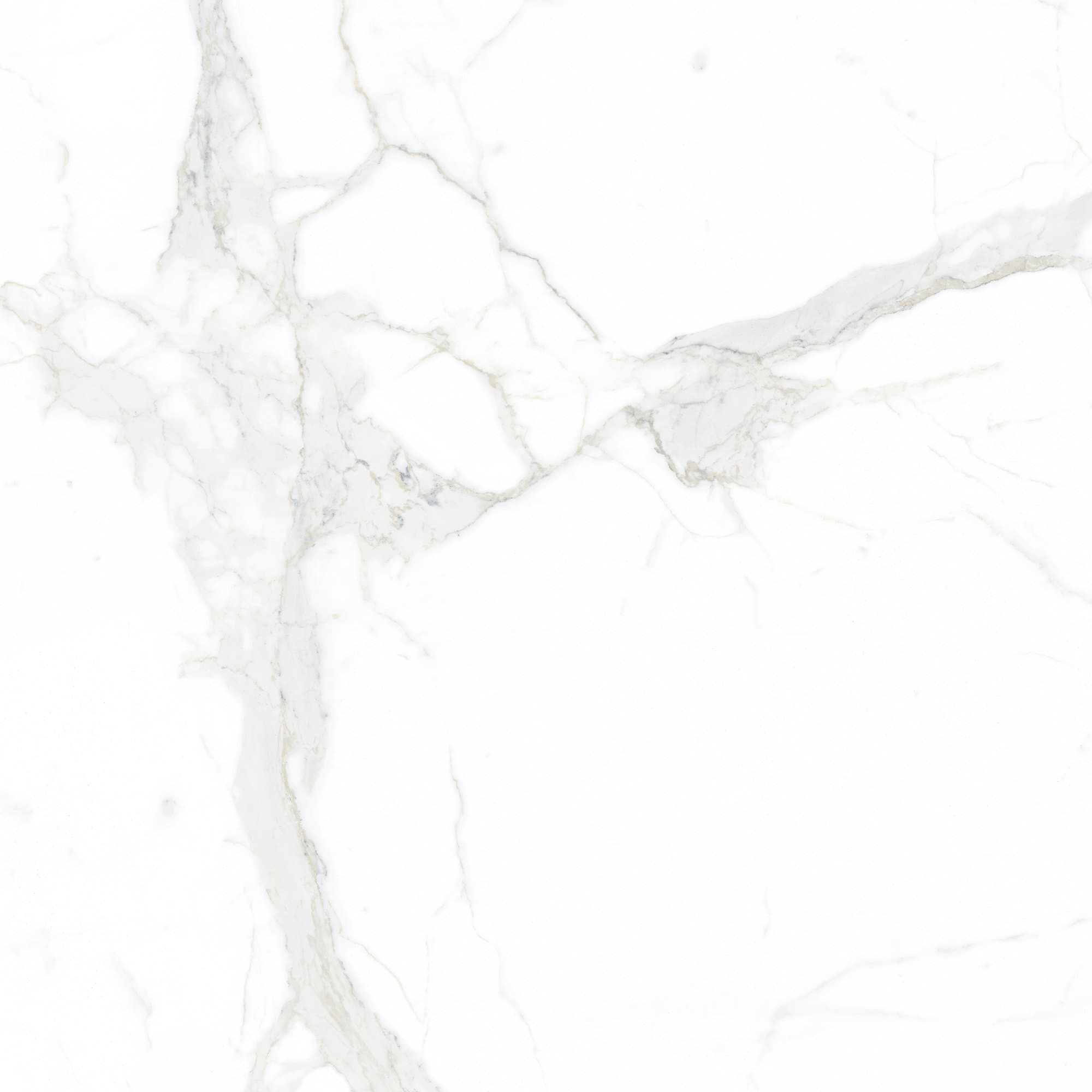 Calacatta Super White