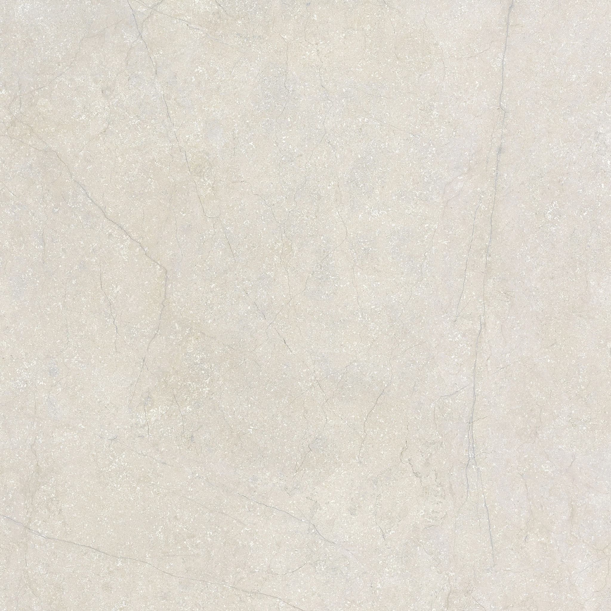 NS Stone Cotton swatch