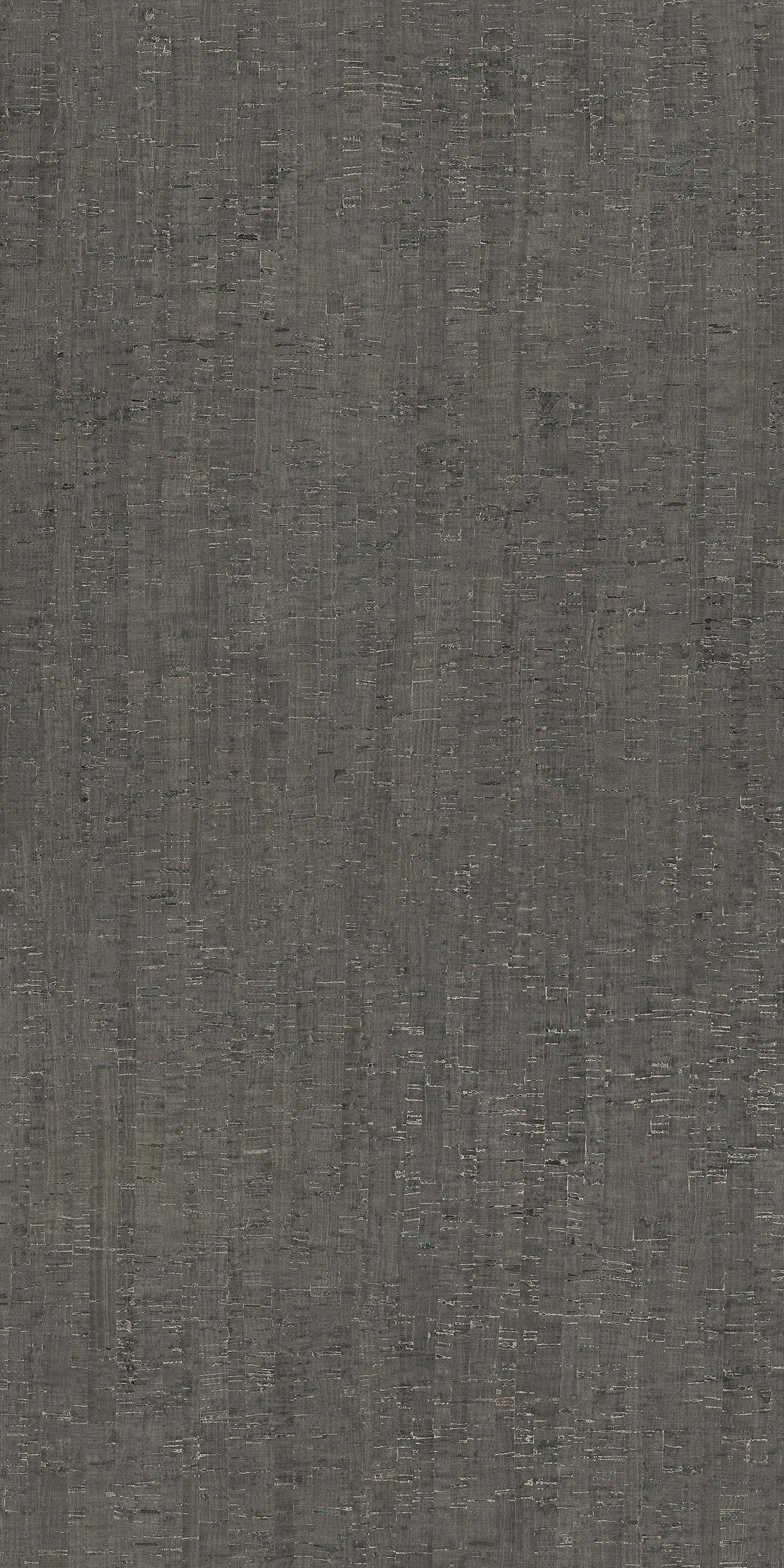Modulo Lichene