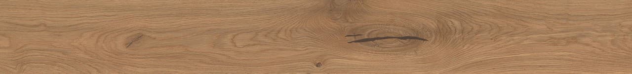 Deep Oak Forest in architectural space