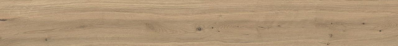 Moon Oak Forest in architectural space