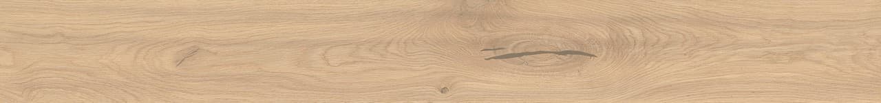 Bright Oak Forest in architectural space