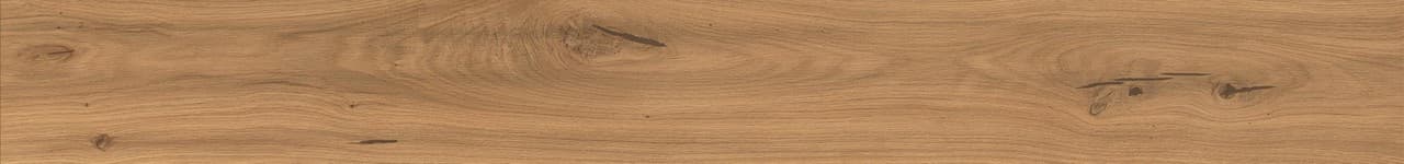 Amber Oak Forest in architectural space