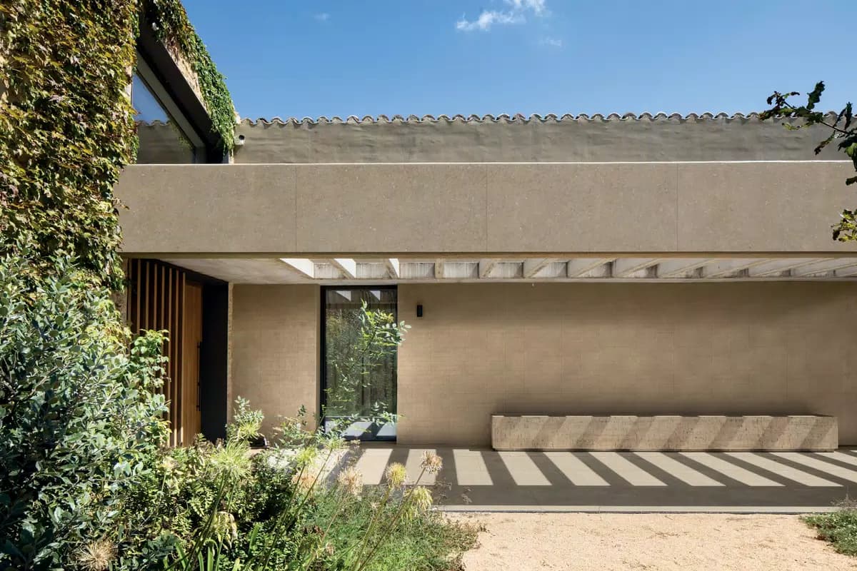 Modulo Lichene architectural surface detail