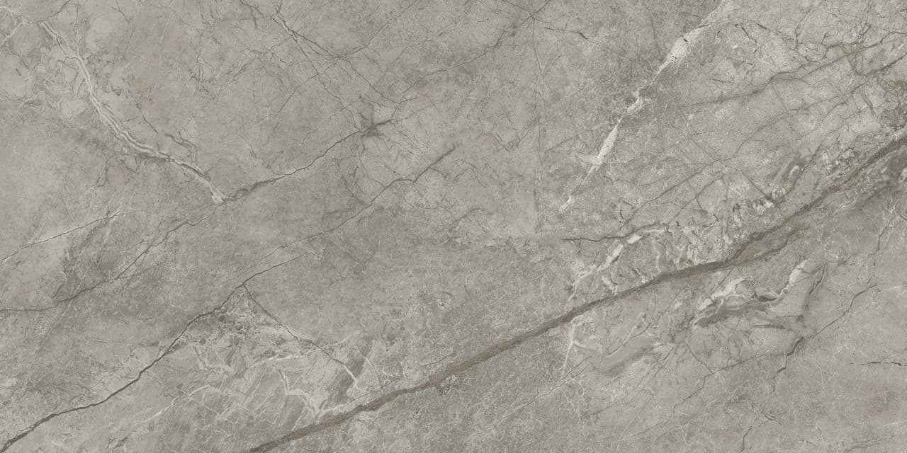 NS Silver Grey