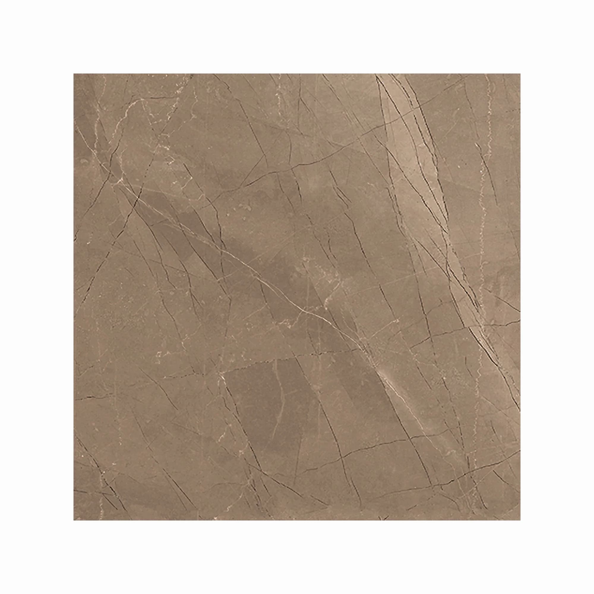 Luxury Amani Bronze in architectural space
