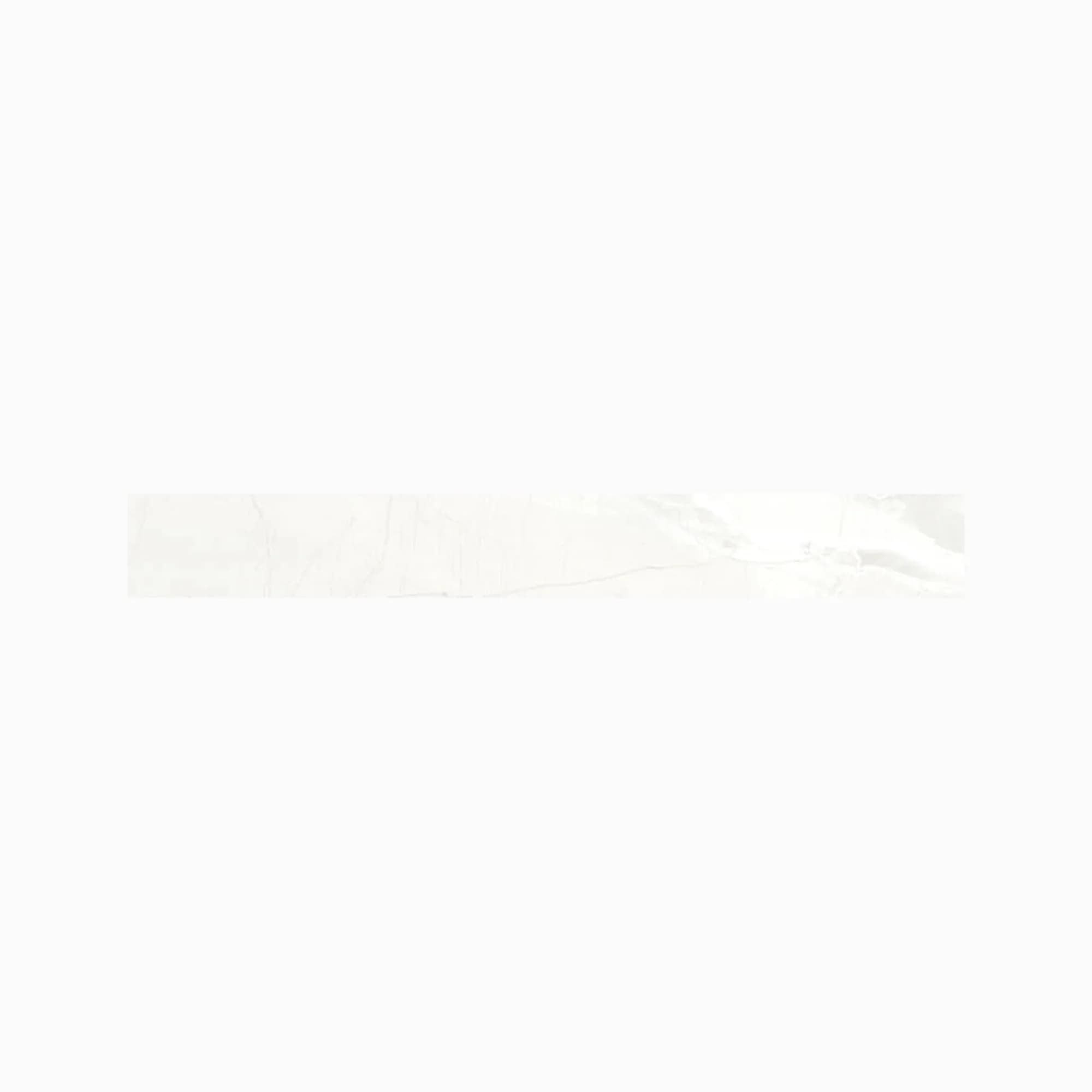 Absolute Bullnose