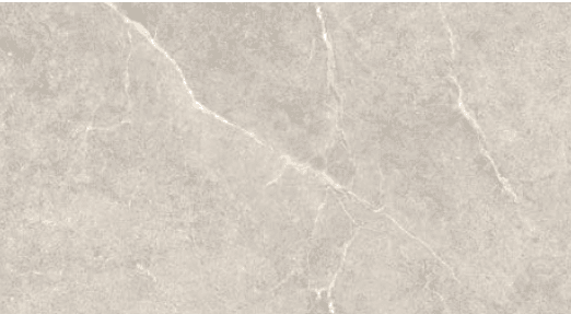 Silver swatch