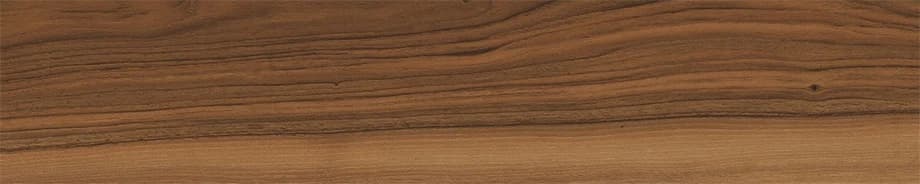 Wild Brown in architectural space