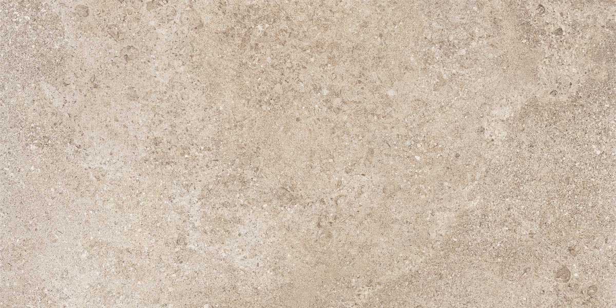 Walnut swatch