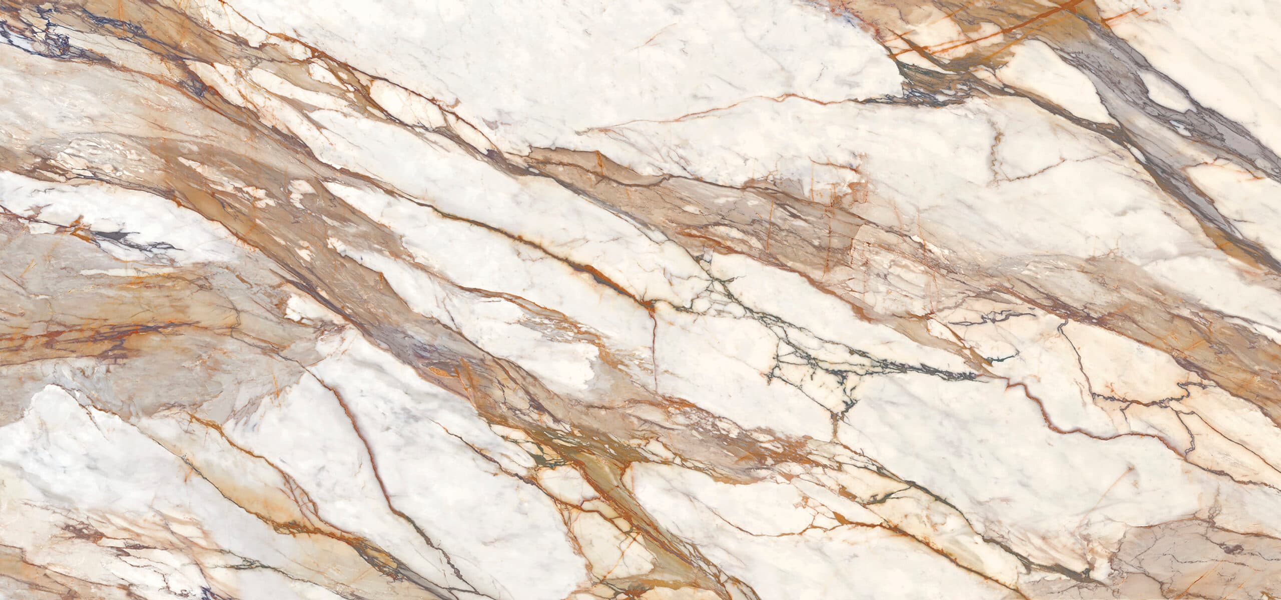 Calacatta antique