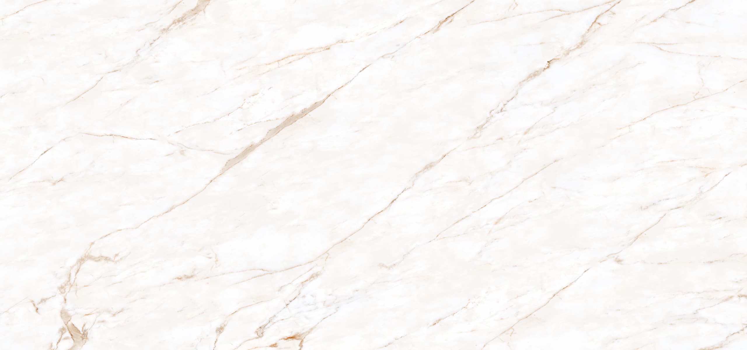 Calacatta Oro in architectural space
