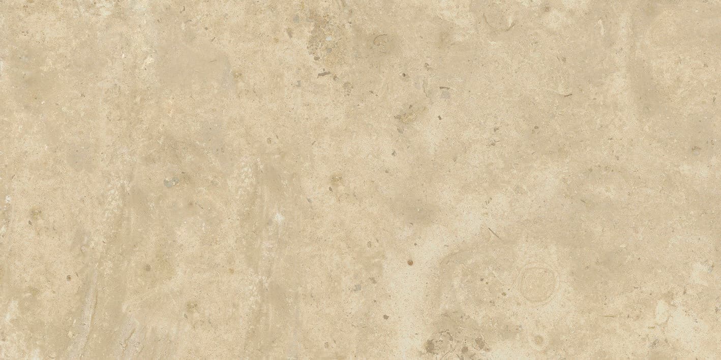 Shellstone Shellamber in architectural space