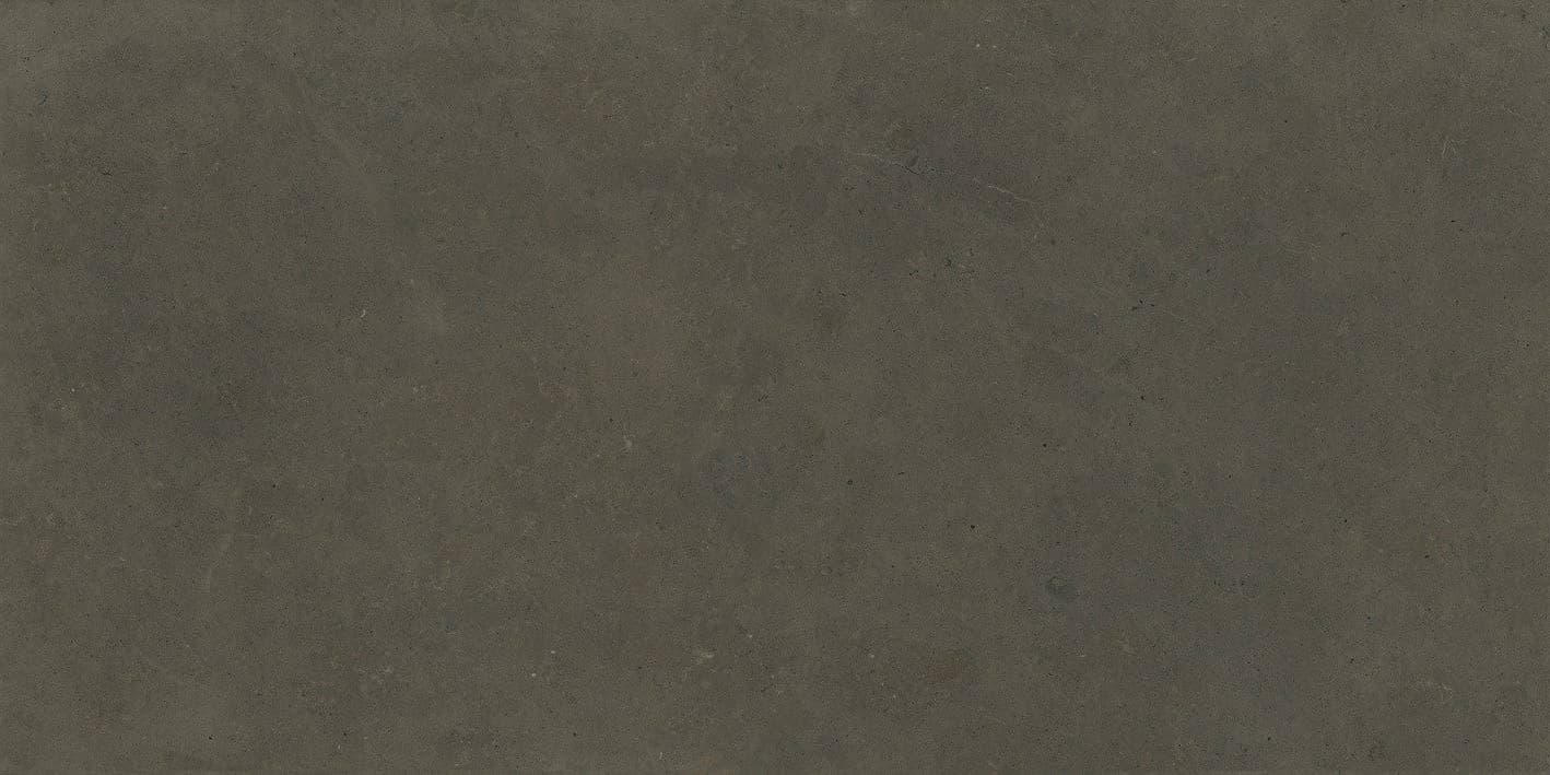 Shellstone Shellearth in architectural space