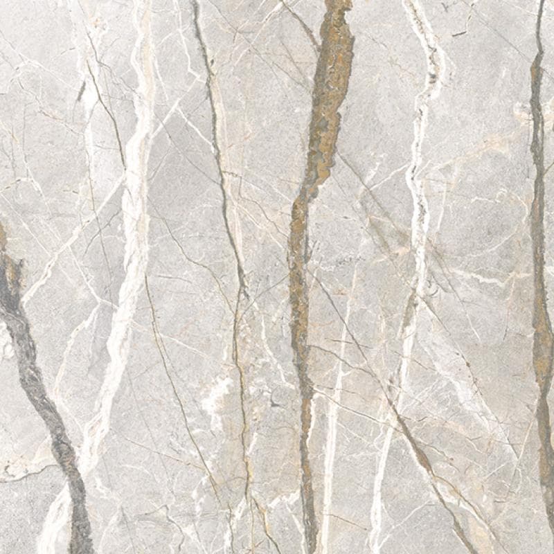Silver Roots