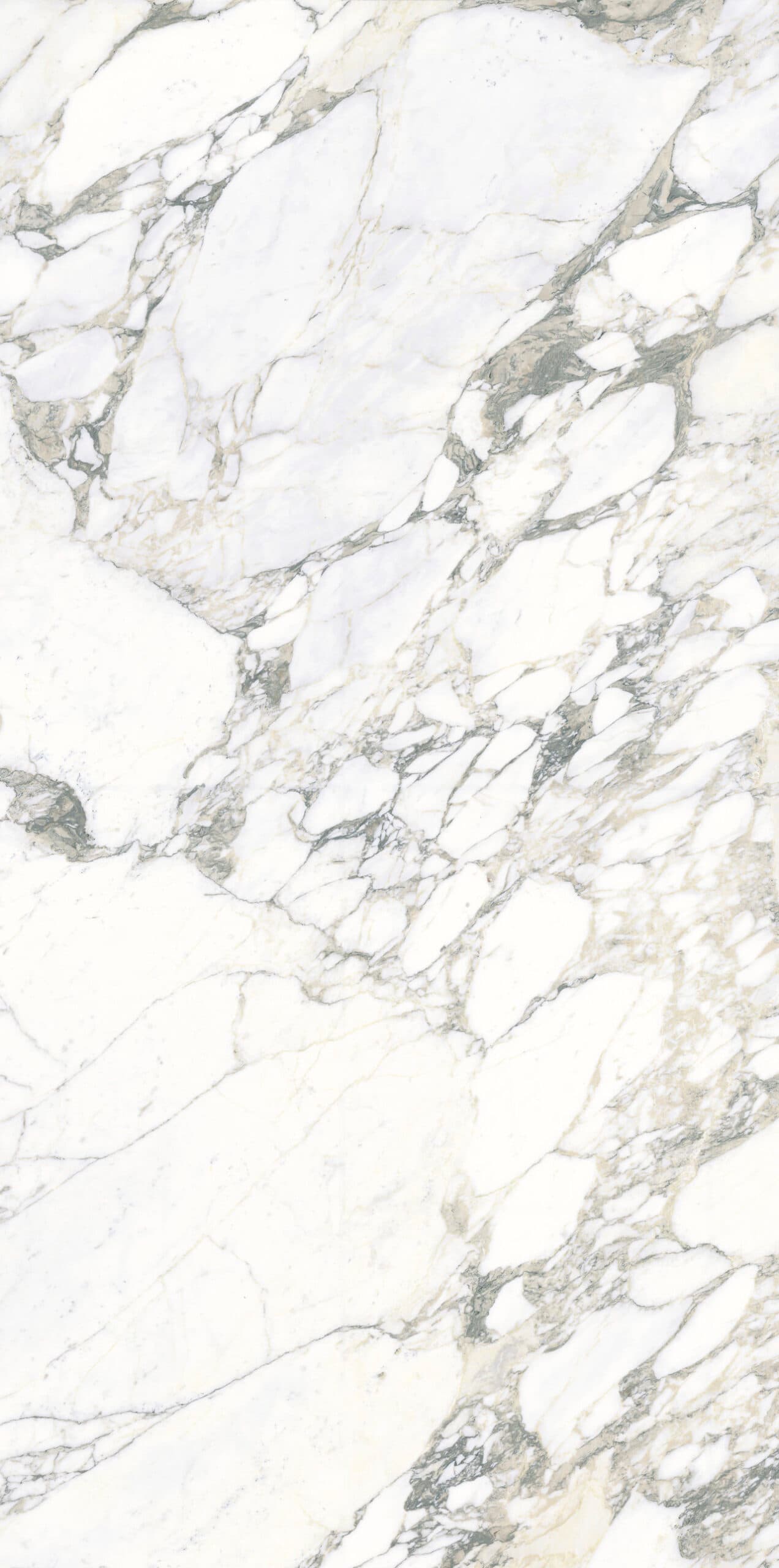 Arabescato Vena (Bookmatched) in architectural space