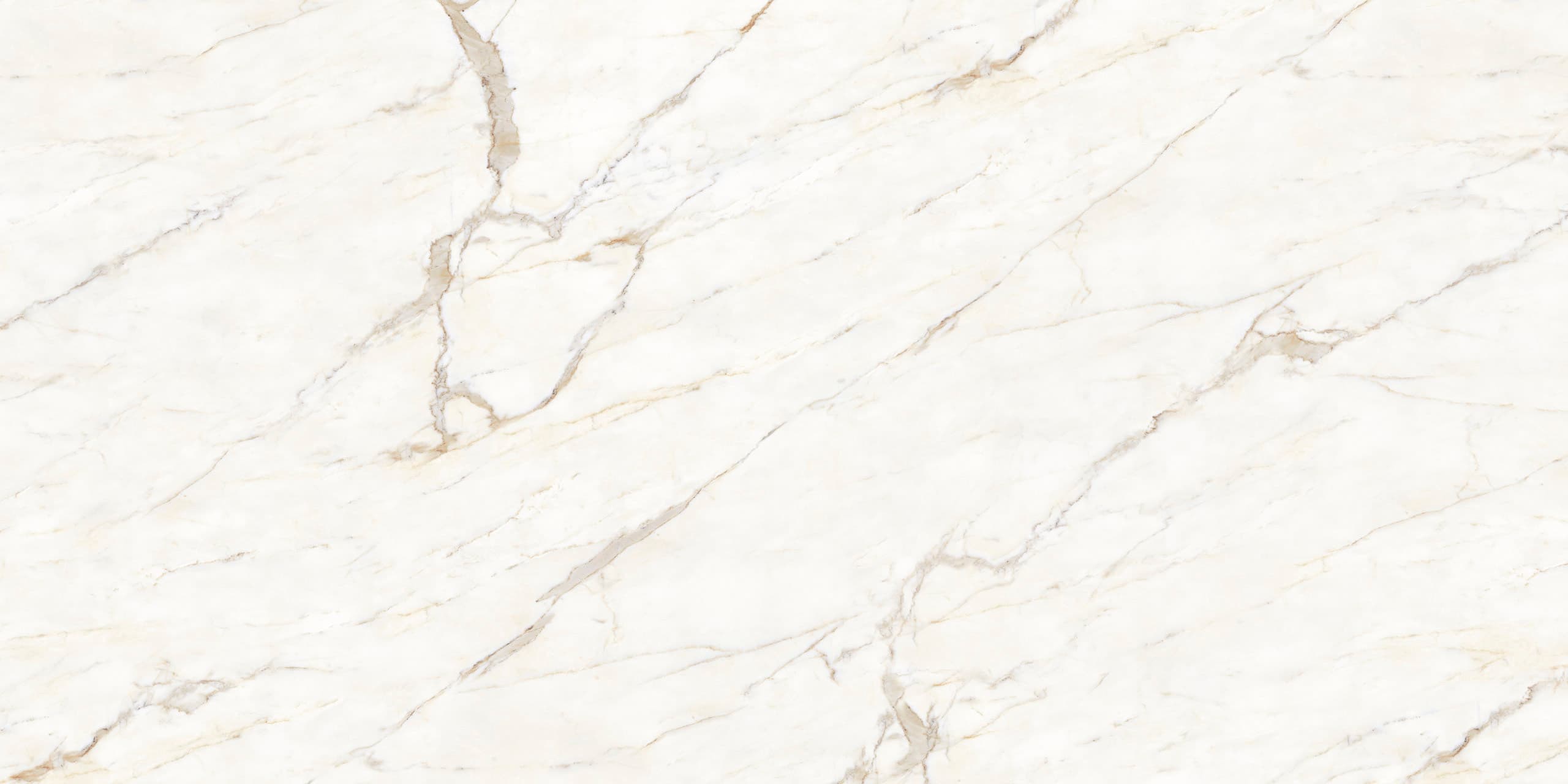Calacatta Oro swatch